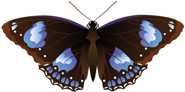 Grab This Free Clipart To Celebrate The Summer - Butterfly Necklace Circle Charm (640x311)