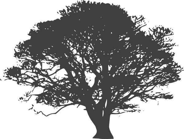 Big Tree Silhouette Png (600x451)