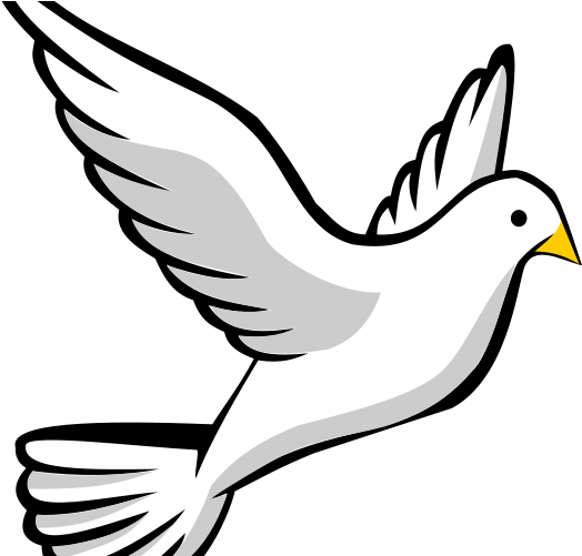 White Dove Clipart Pentecost - Transparent Background Dove Clipart (600x500)