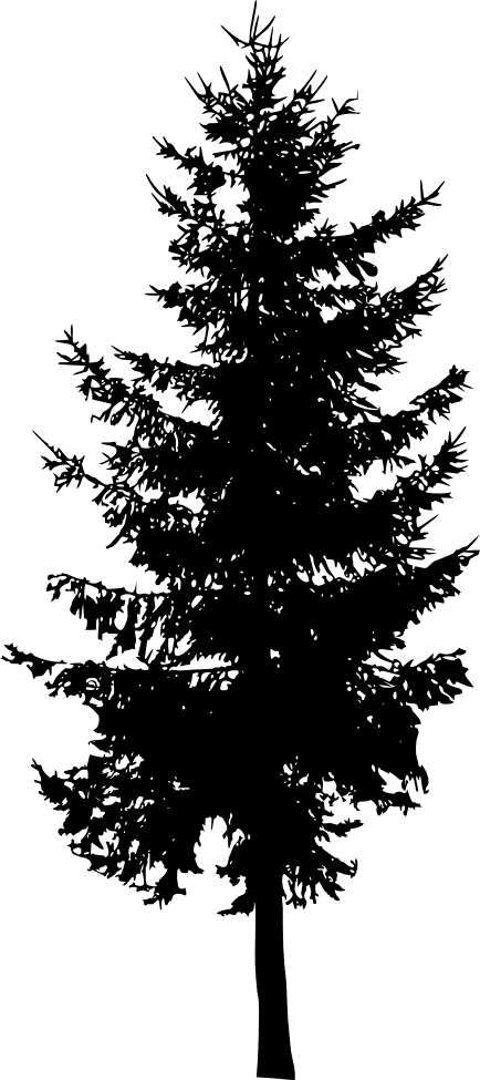Free Download - Pine Tree Silhouette Png (434x975)