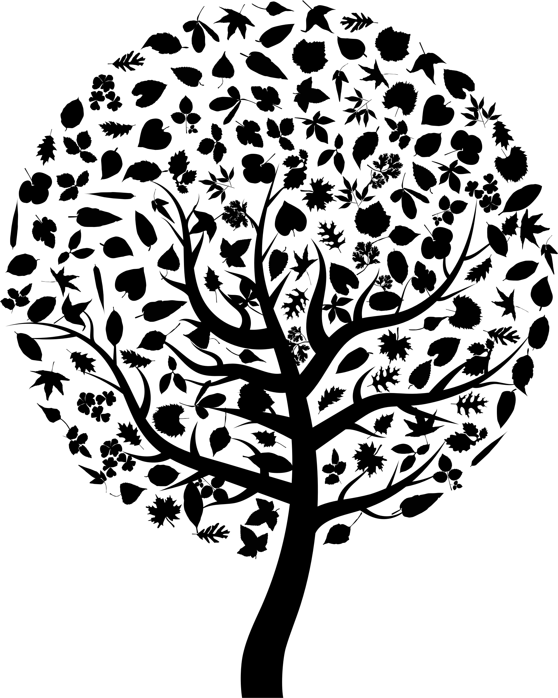 Big Image - Transparent Tree Silhouette Png (1826x2282)