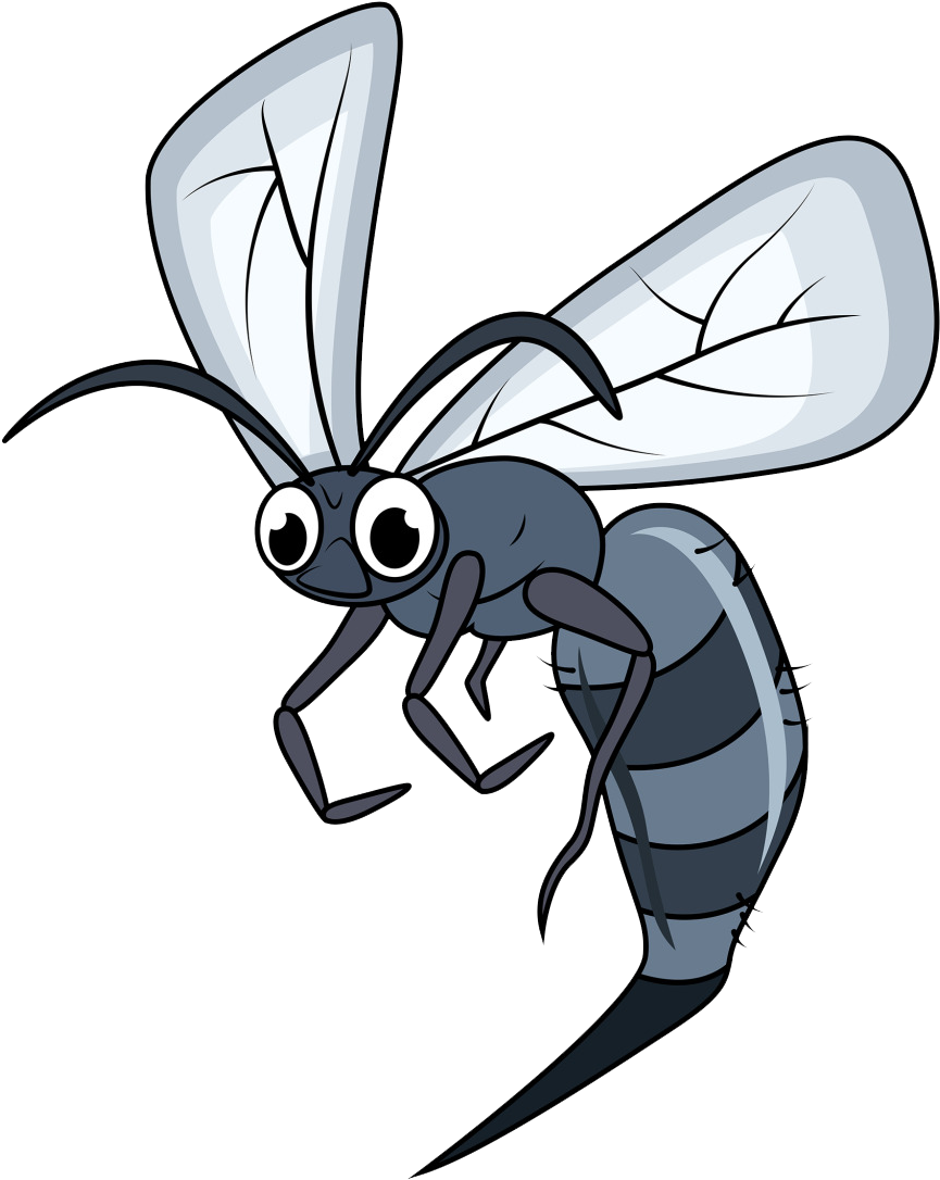 Insect Mosquito Bee Drawing - Mosquitos Animadas (1024x1257)