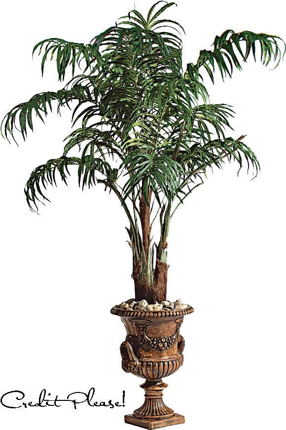 Browsing Tattoo Design On Clipart Library - Png Tree Images With Transparent Background (595x881)