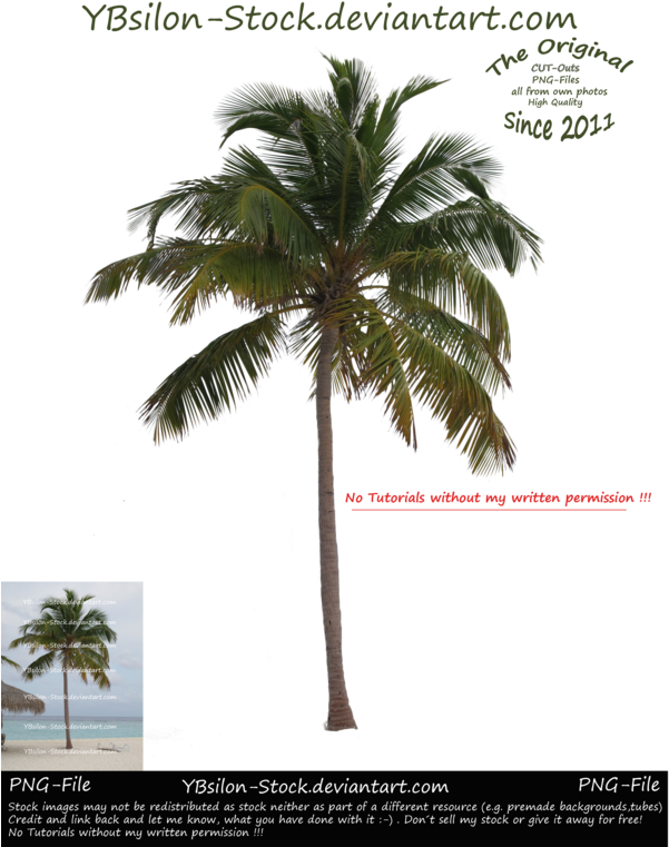 Photographed On Veligandu, Maldives All Png/cut Out - Sunset (600x781)