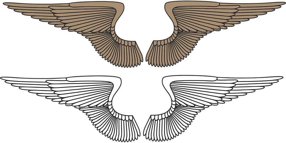 Might Cliparts 13, Buy Clip Art - Wing Clip Art (960x480)