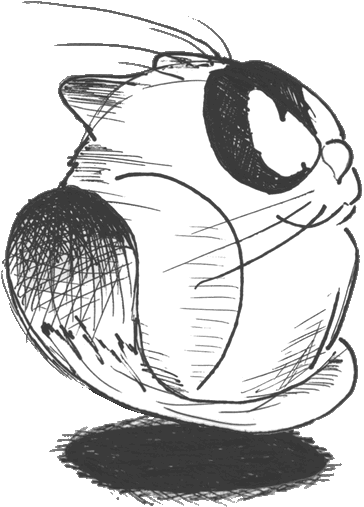 Download Gif - Sketch (512x512)