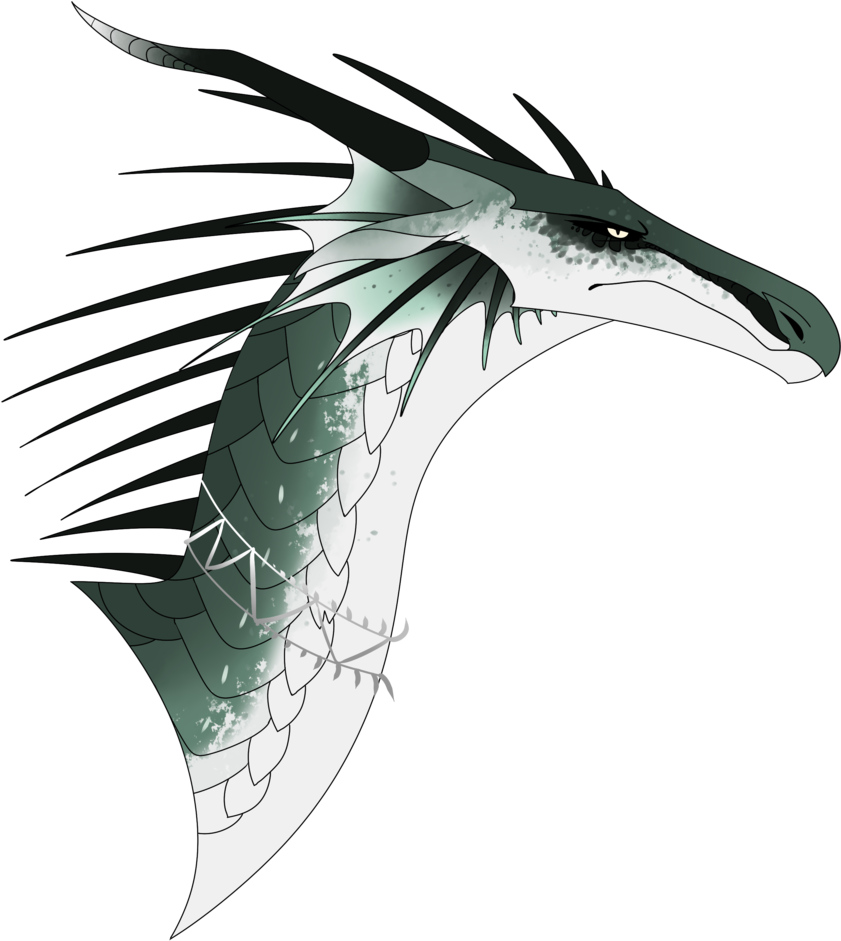 Conifer By Scourgeseer - Dragon (840x951)