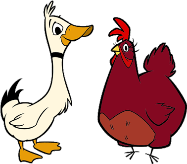 Duck Clipart Chicken - Chicken And Duck Cartoon (385x342)