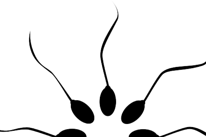 Stress May Significantly Lower Fertility In Males - Stress May Significantly Lower Fertility In Males (660x440)