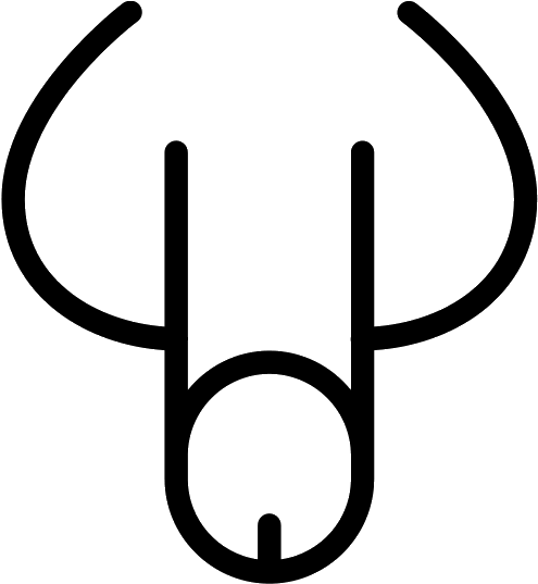 Penis ts icon