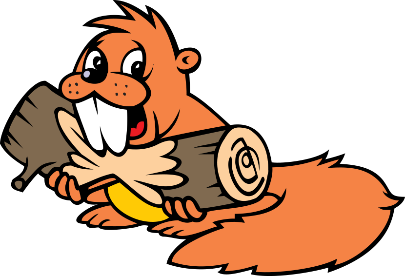 Hungary, Iceland, Indonesia, Iran, Ireland, Israel - Beaver (830x566)