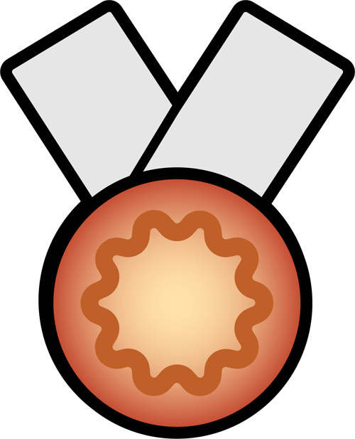 Medal Requirements - Medal Requirements (500x617)