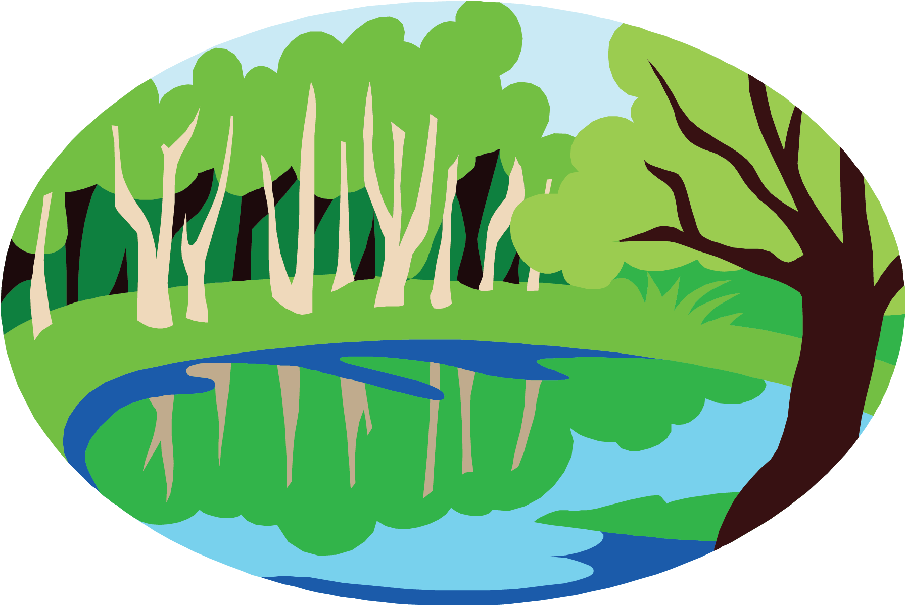Woodland-scene - Biodiversity Means (1920x1920)
