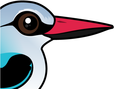 About The Woodland Kingfisher - Woodpecker (440x440)