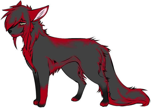 Black - Black And Red Wolf (808x468)