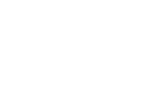 Car Wash - Executive Car (500x500)