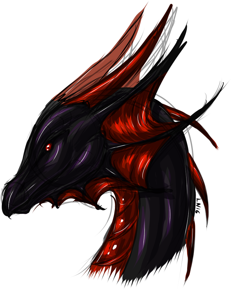 Gallery Of Images - Dragon (774x986)