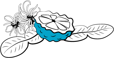 Aftershave - Aftershave (410x510)