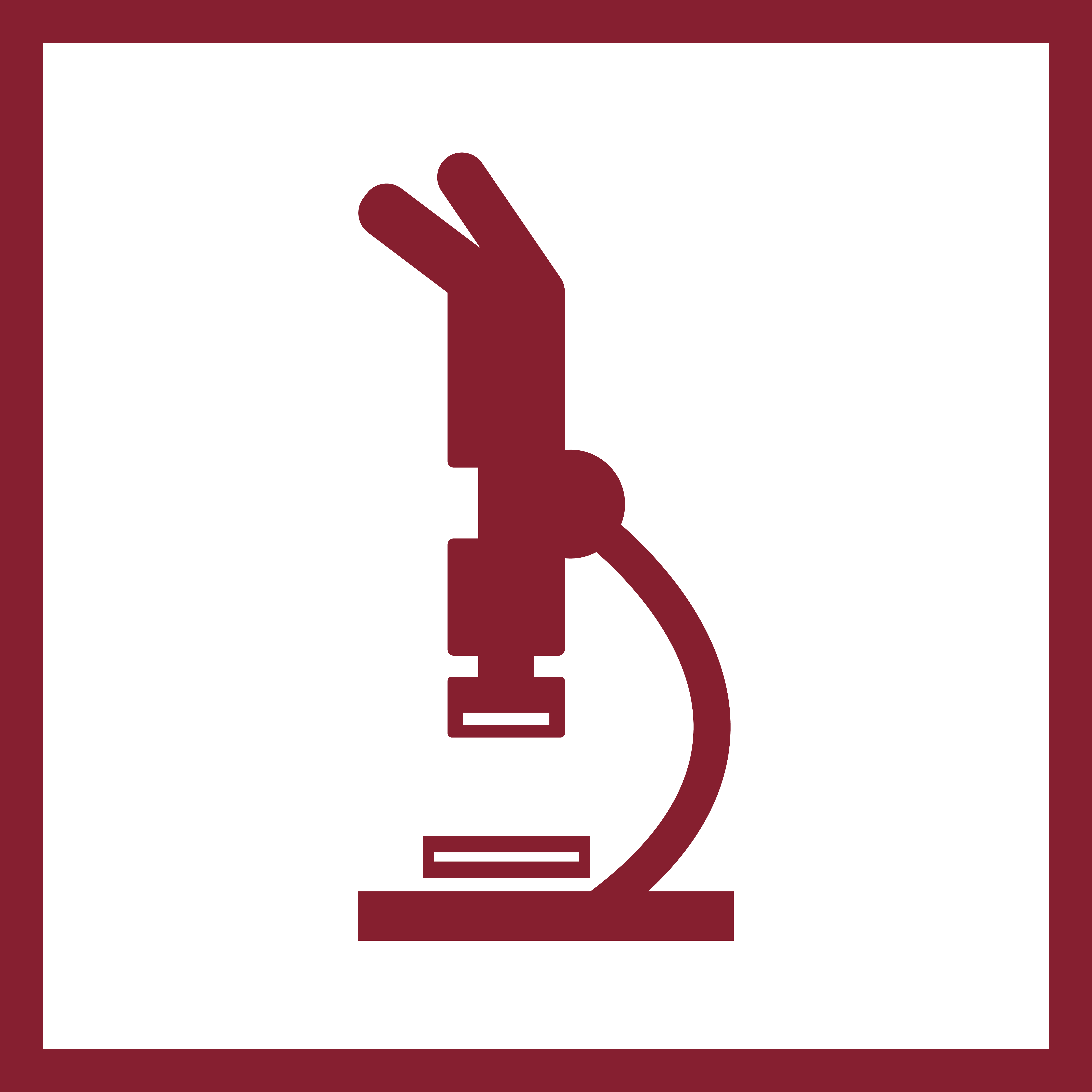 Microscopy Synoptic Table - Fiber (5903x5903)