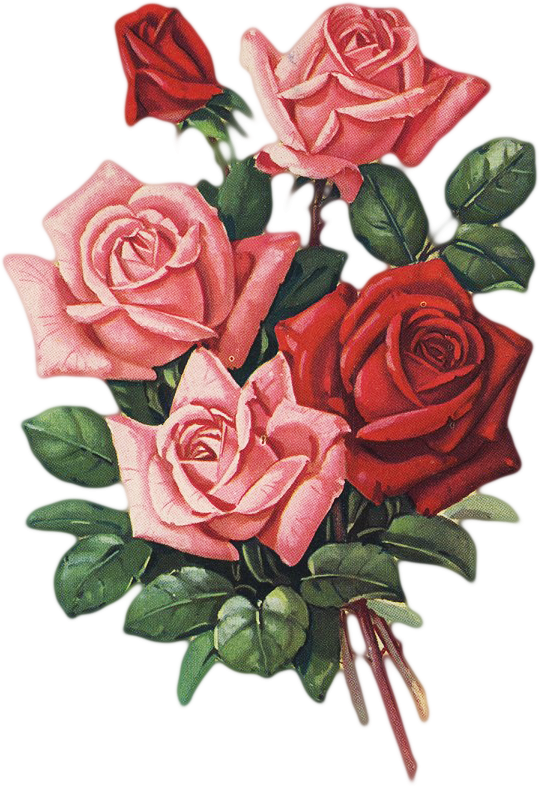 Shabby Chic Flowers, Vintage Flowers, Rose Paintings, - Floribunda (540x786)