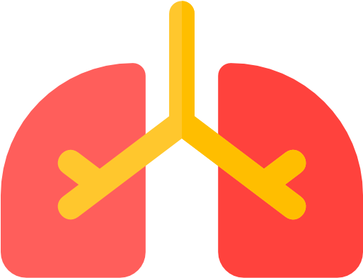Lungs Free Icon - Lung Icon (512x512)