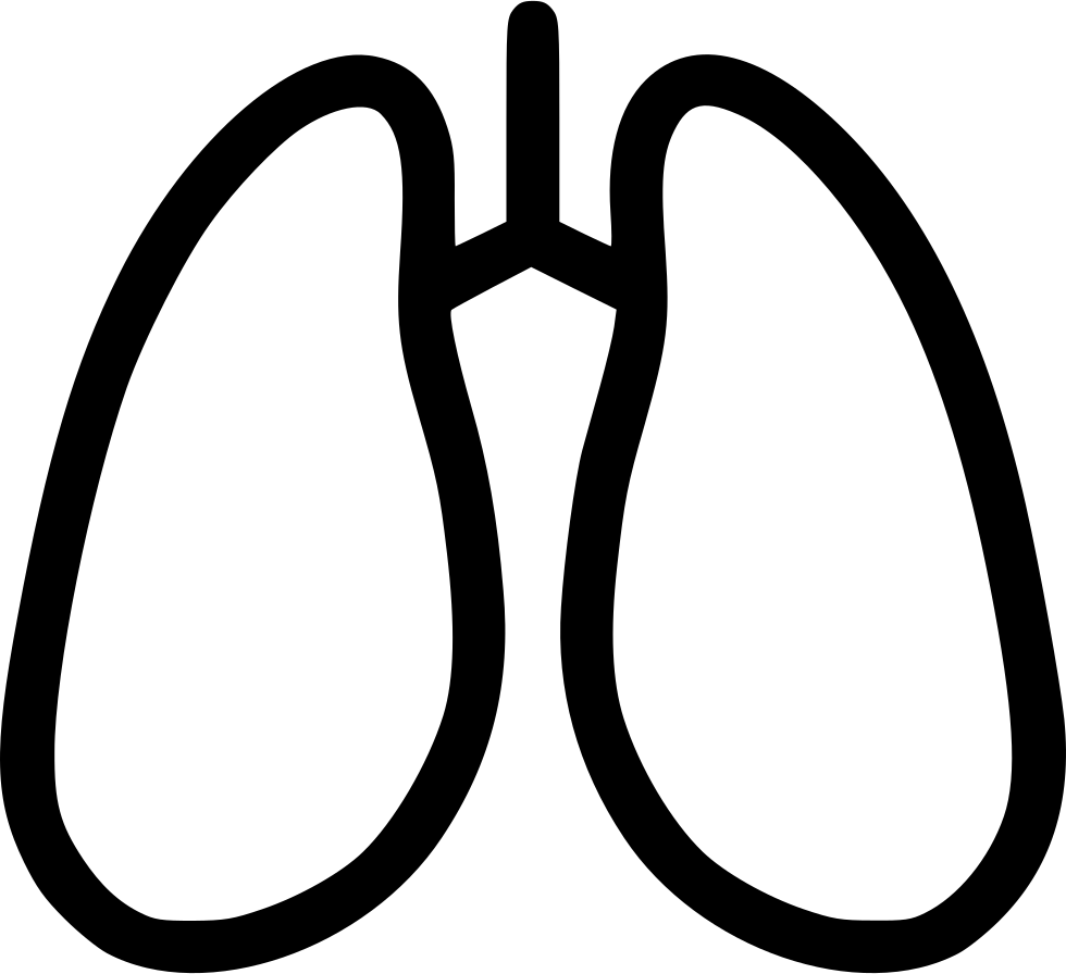 Anatomy Detoxification Hepatology Lungs Breathe Pulmonology - Medicine (980x896)