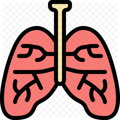 Lungs Icon Smoking (512x512) Png Clipart Download