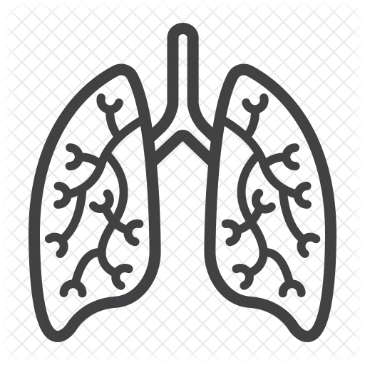 Lungs Icon - Black And White Lungs Clipart (512x512)