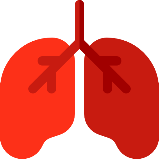 Lungs Free Icon - Pulmonology (512x512)