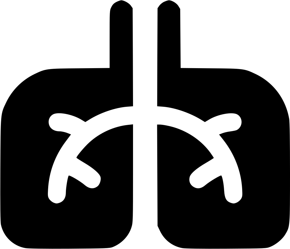 Medical Lungs Comments - 2x Stickany Wall Series Lungs Sticker For Windows Rooms (981x844)