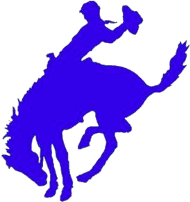 Freer Logo - Freer High School Football (720x743)