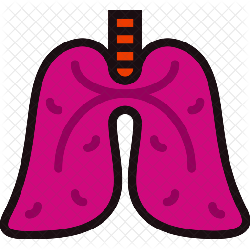 Lungs, Life, Svae, Organ, Internal, Body, Part, Human - Health Care (512x512)