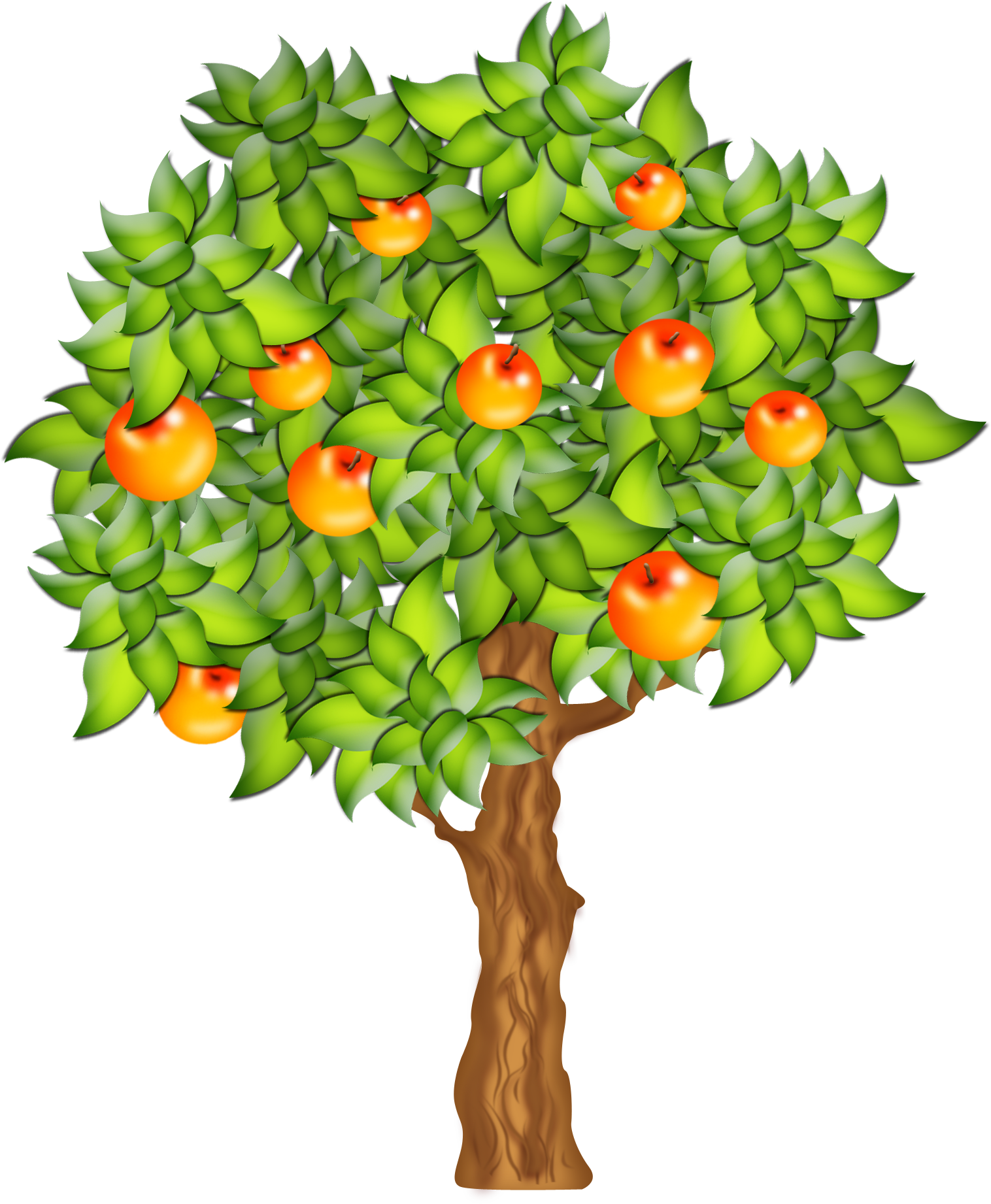0 F132b 6c858cbe Orig - Fruit Tree Clipart Png (1516x1842)