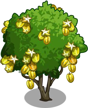 Starfruit2-icon - Star Fruit Tree Clipart (300x400)
