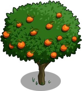 Orange Tree 100-icon - Orange (300x400)