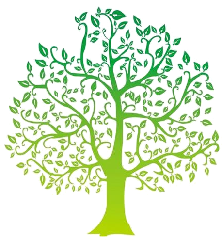 Cartoon,fruit Trees,logo 500*500 Transprent Png Free - Tree Fruit Cartoon Png (500x500)