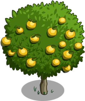 Grapefruit Tree 100-icon - Farmville Trees (300x400)