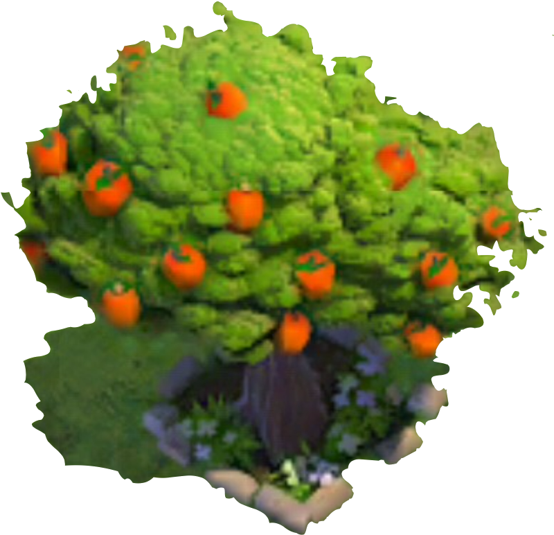 Fruit Tree - Png - Gourd (900x900)