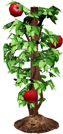 Tomato Plant, Watermelon Vine - Cherry Tomato Plant Png (800x600)