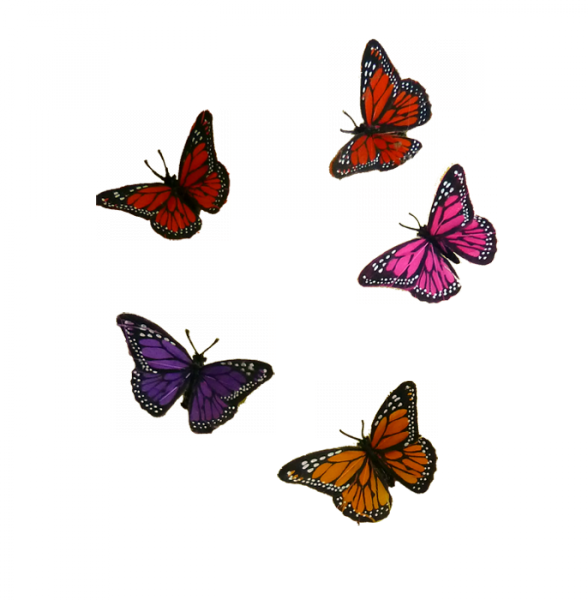 Butterflies - Large Copper (588x600)