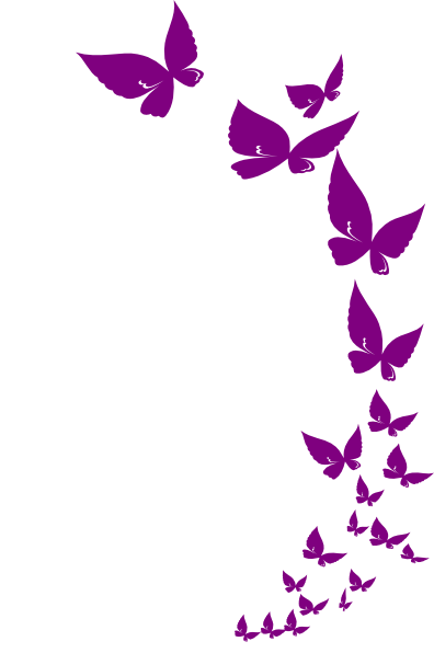 Rainbow Butterfly Clipart Logo - Announcement Rainbow Baby Cover (396x596)