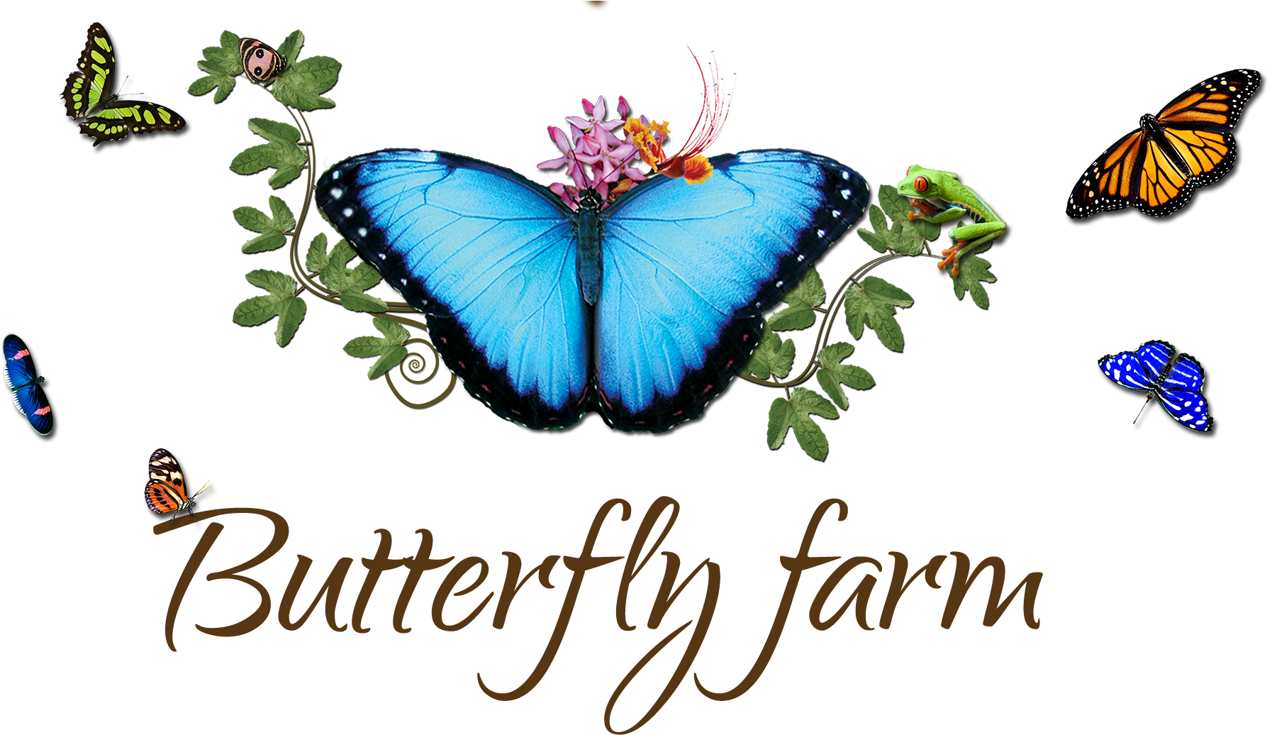 Come And Discover The Secrets Of Exotic Butterflies, - Family Reunion Themes (2000x1068)