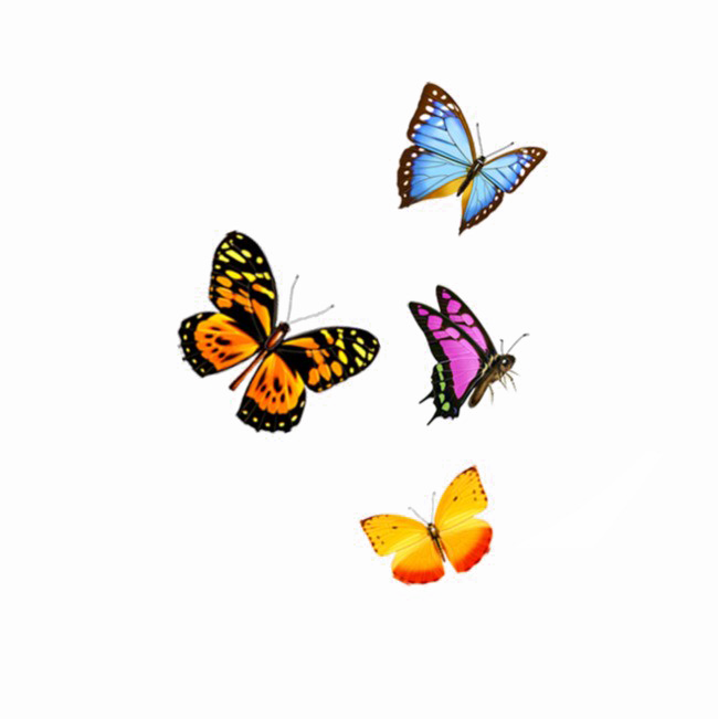 Flying Butterfly Png Image Background - Fly Butterfly Transparent Png (650x651)