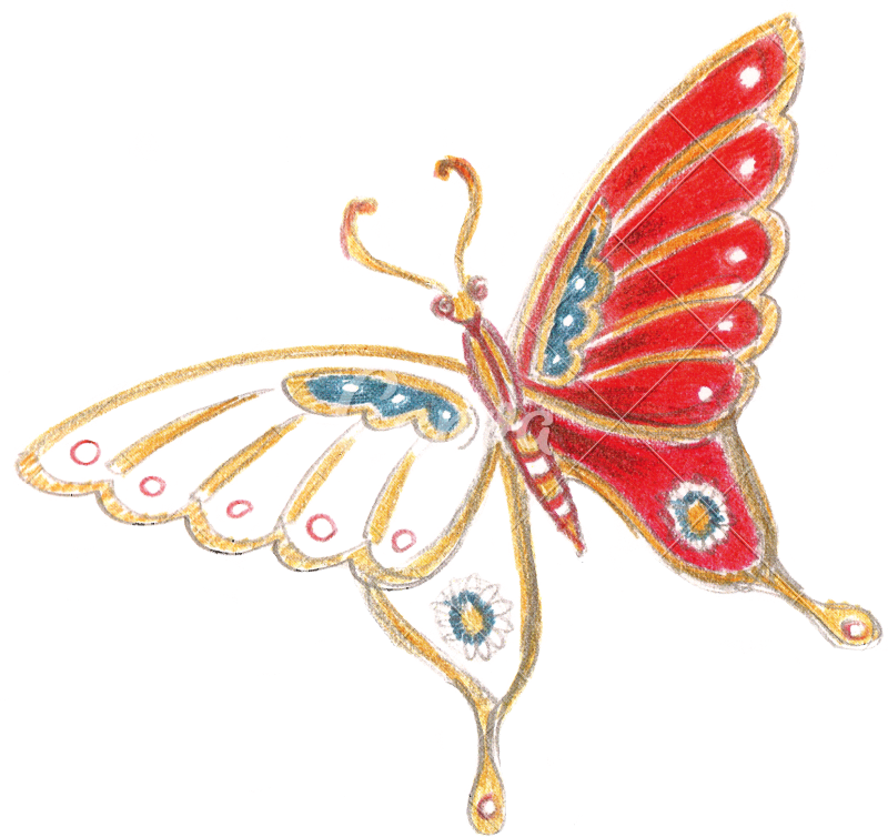 Butterfly - Swallowtail Butterfly (800x754)