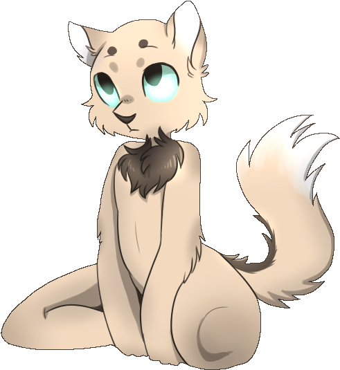 Curious Chikki By Chikkiarts - Chikki (555x552)