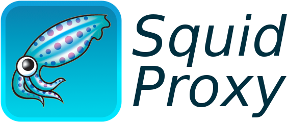 Пример Настройки Squid - Squid Proxy (635x307)