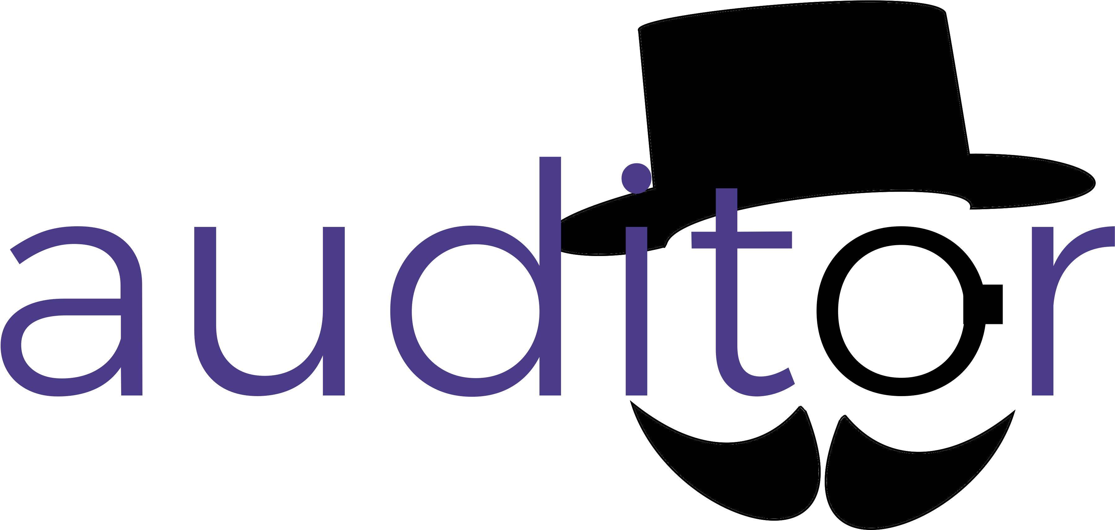 Model %>% Audit %>% Plot(type=) - Auditor Logo (4000x2000)