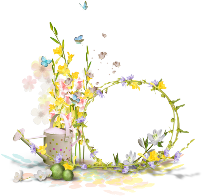 Photography Printemps Clip Art - Camomile (740x762)