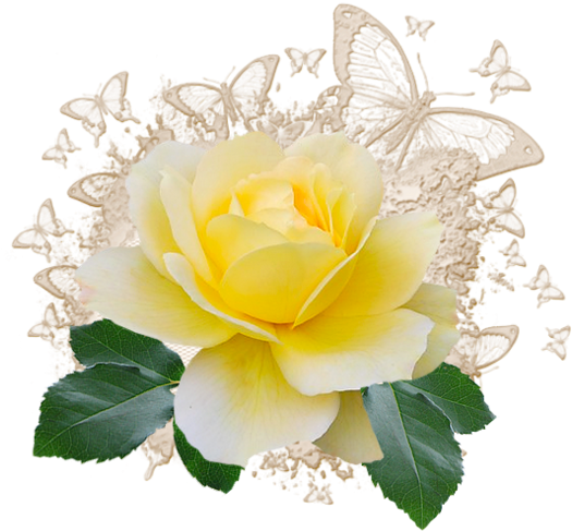 Nurcan Cüceoğlu/emeksensin - Com/nurcandesign - Garden Roses (640x640)