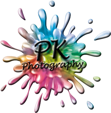 Pk Photography Blog - Pk Logo Splash Round Ornament (392x400)